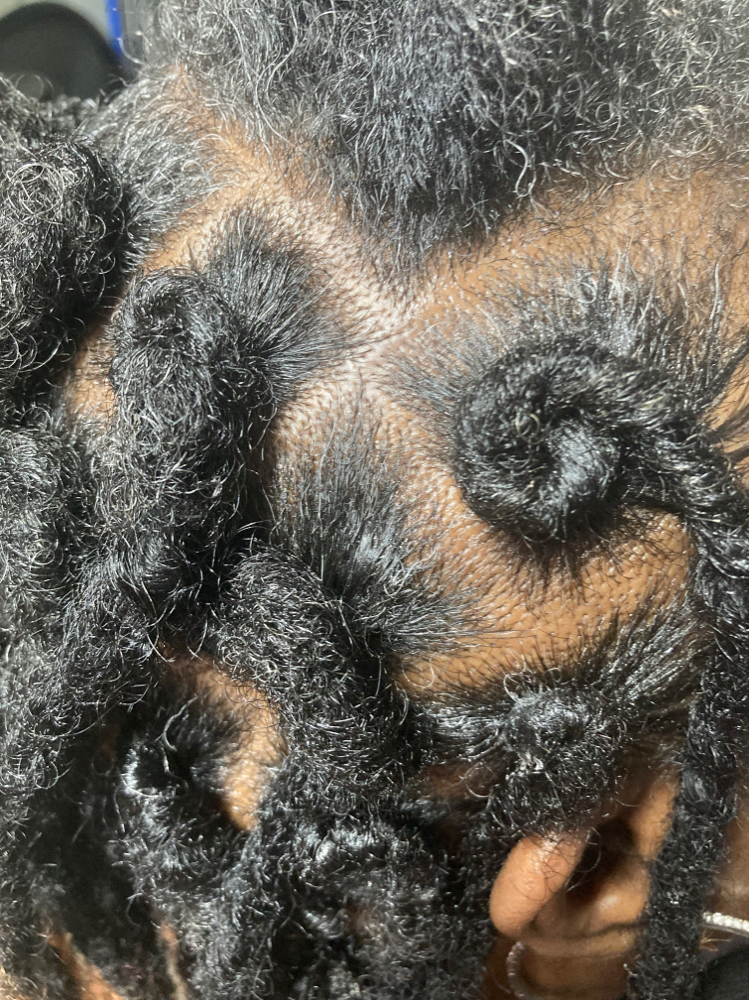 Basic Dread Repair Retwist Style