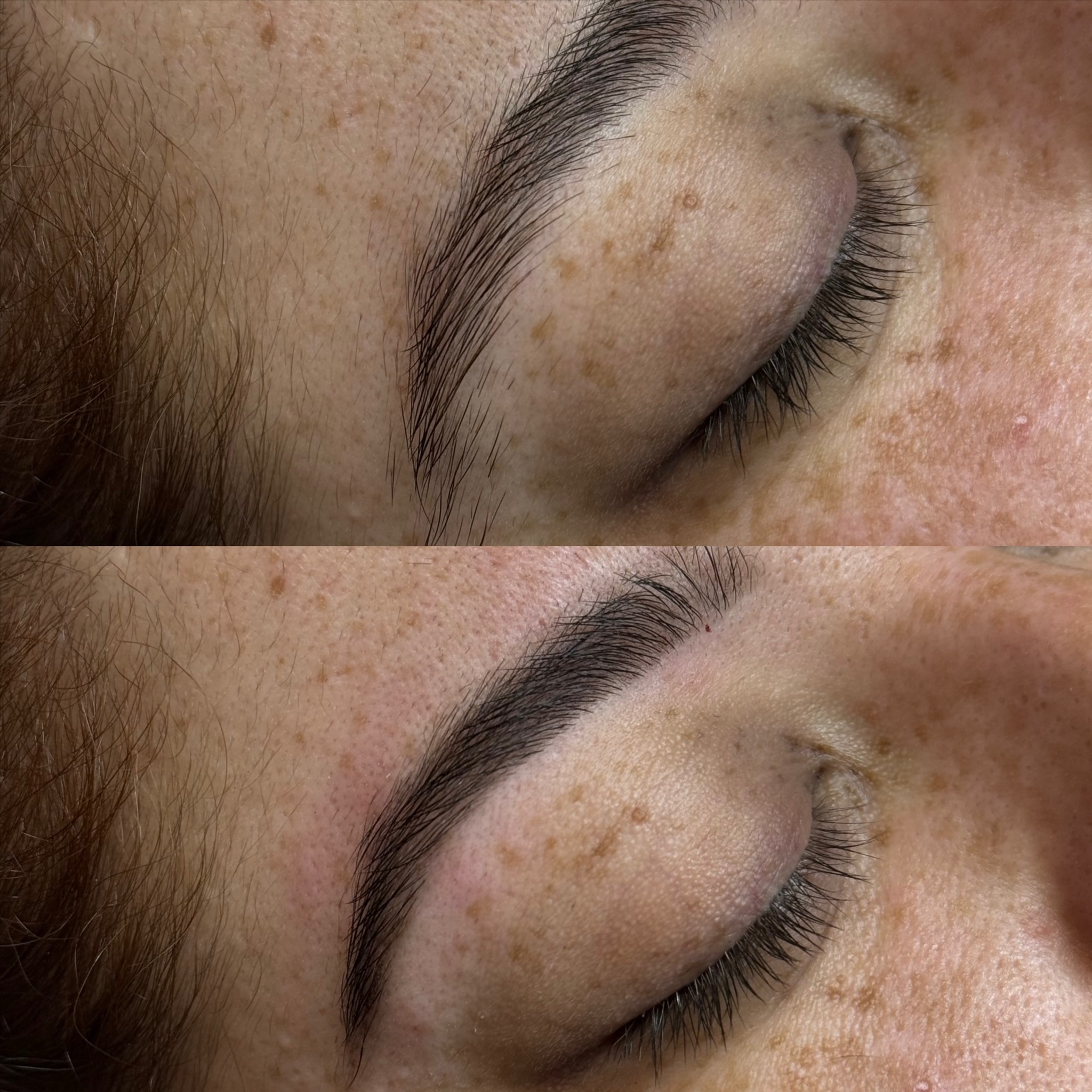 Brow Wax & Tint at Pink Crab Wax Bar in Las Vegas, NV