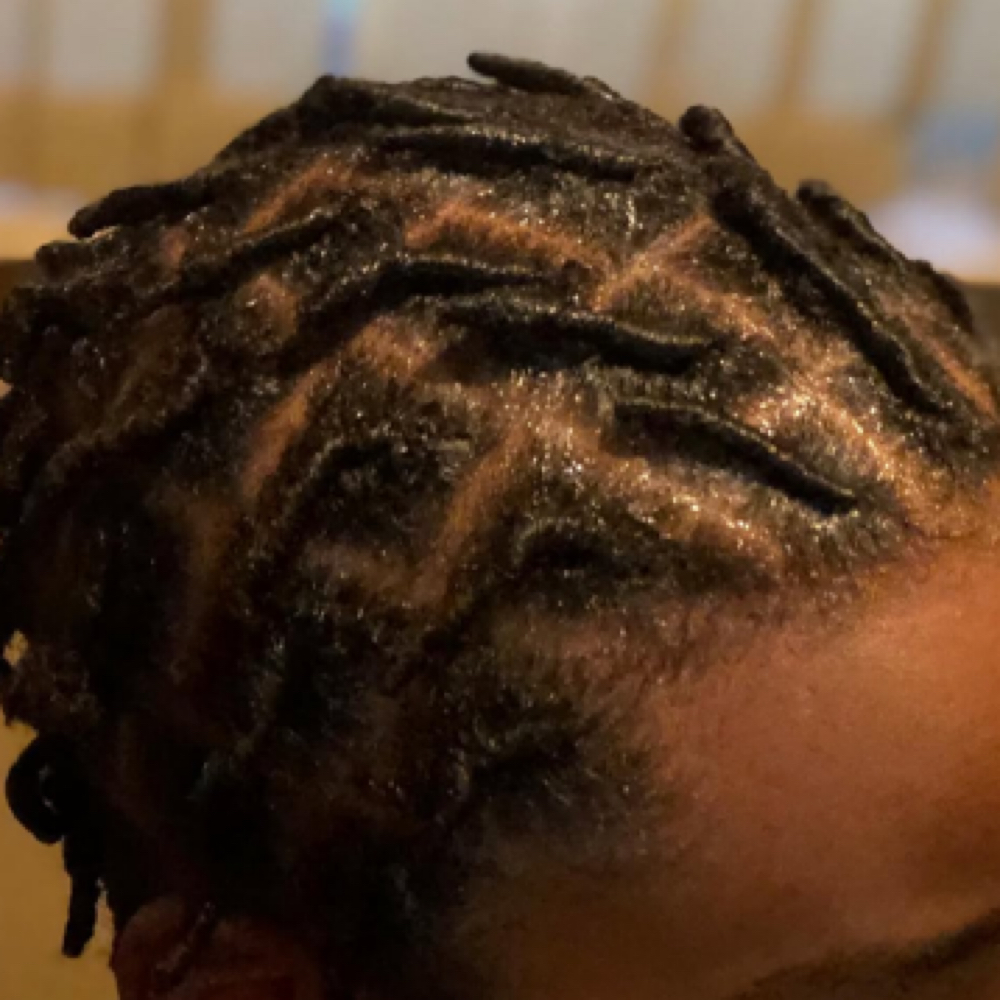 Starter Locs at Pheeling pretty in Gilbert, AZ