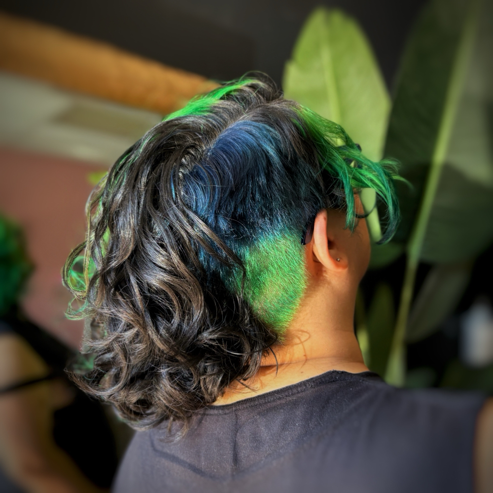 Medium Impact Color at Z Vozza in Salem, OR