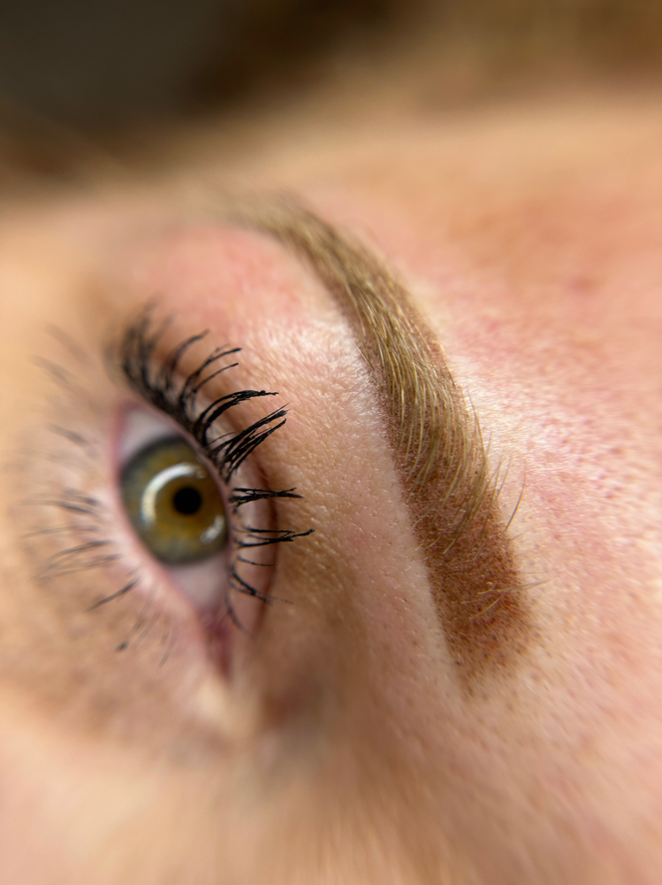 Brows