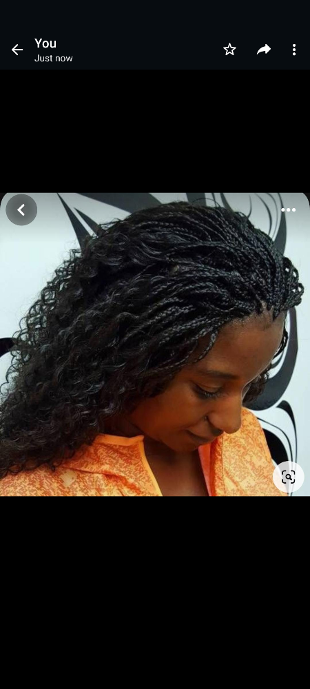 Micro Box Braids