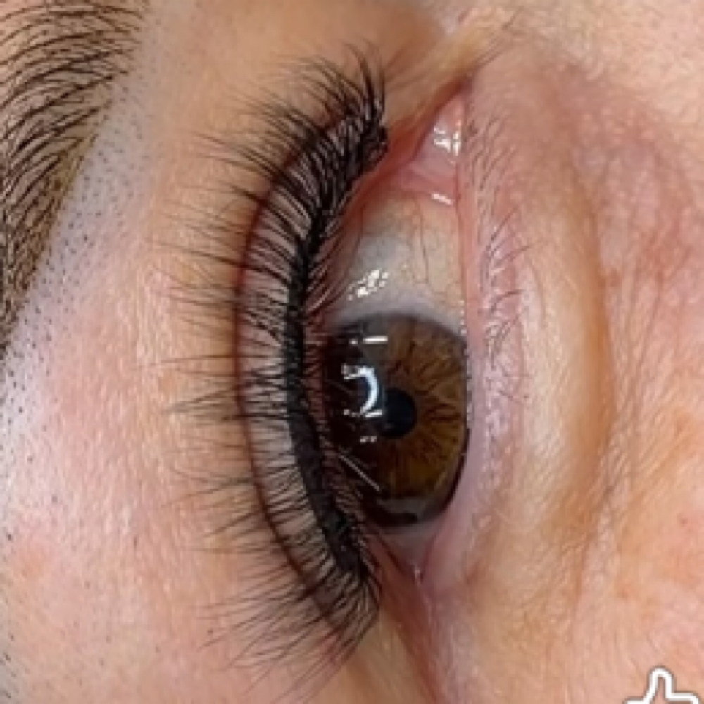 Classic Eyelash Extention Sets at ProNails Lashes & Brows Studio in Woodburn, OR