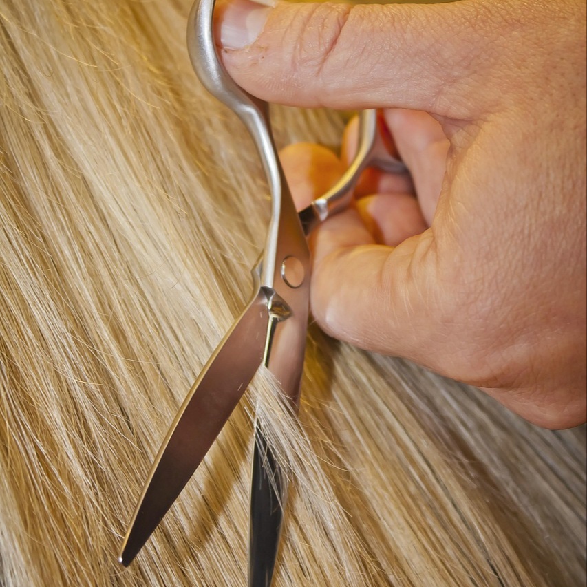 Bang trim at Ember & Ivy Salon in Henderson, TN