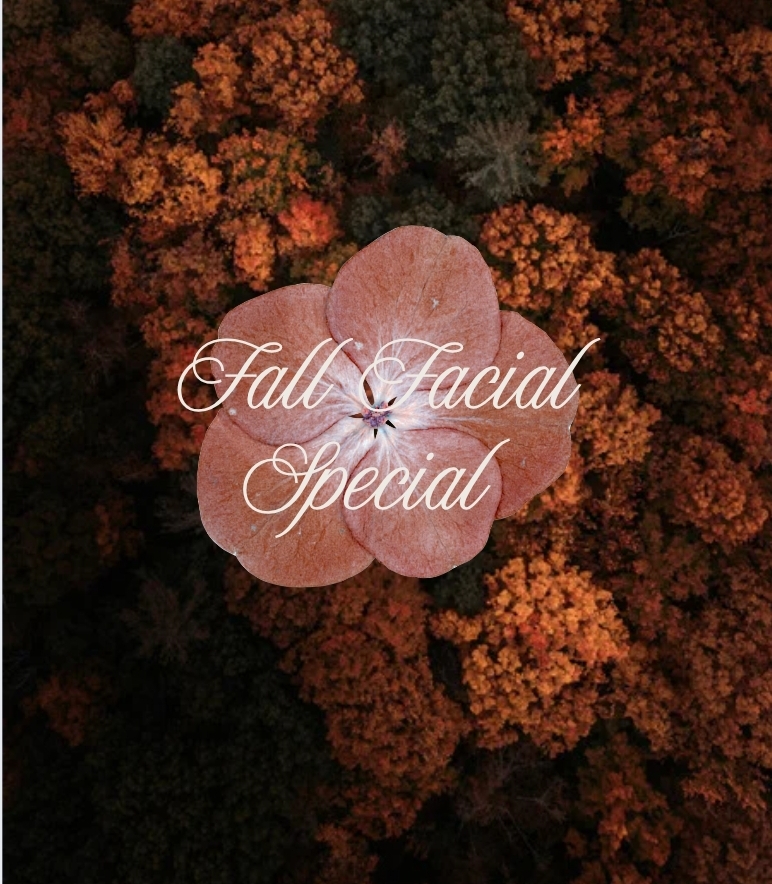 Autumn Light Package