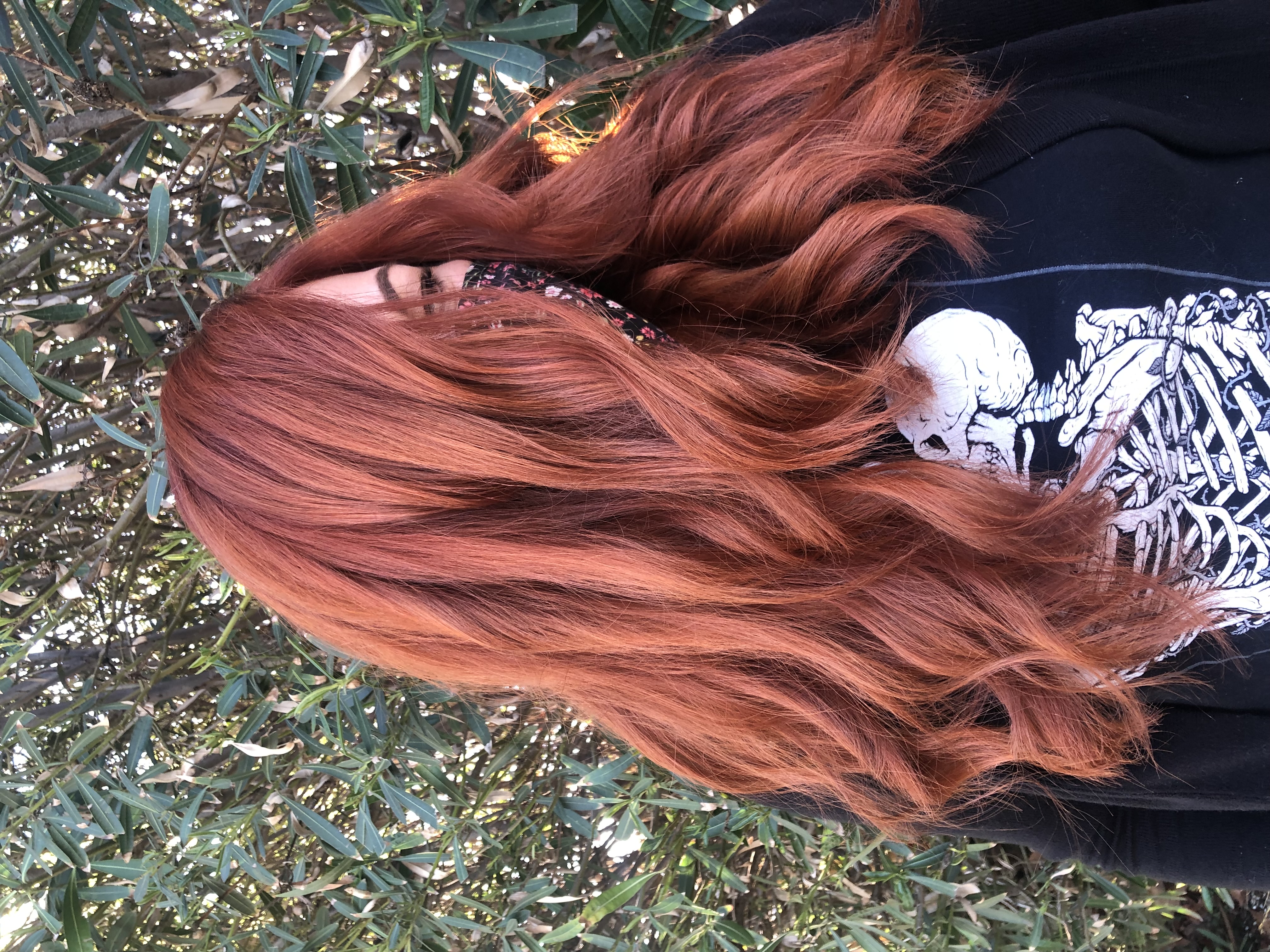 Root Touch-Up, Toner and Haircut