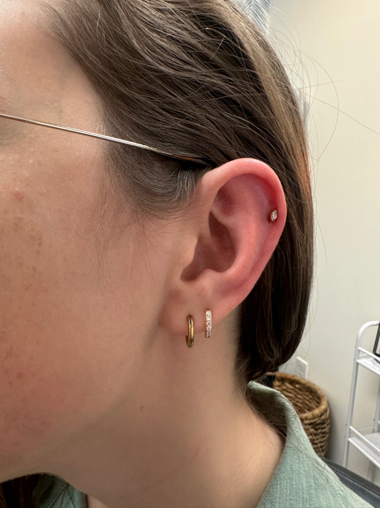 2 Basic Piercings