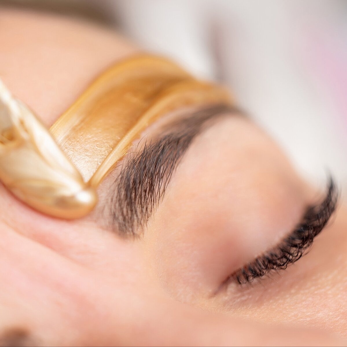 Brow Wax & Tint at Omnia Esthetics in Menomonie, WI