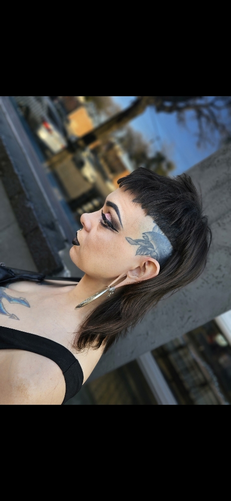 Evolution Cut