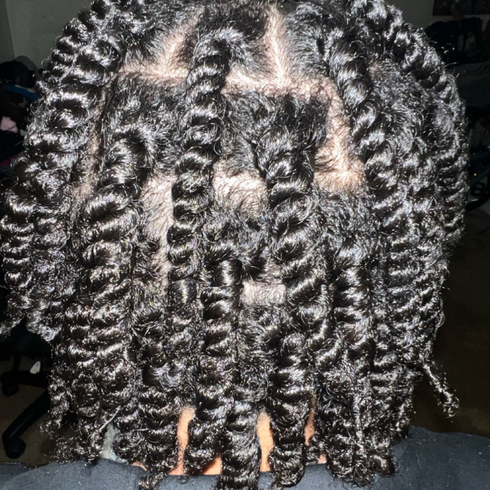 Two Strand Twists