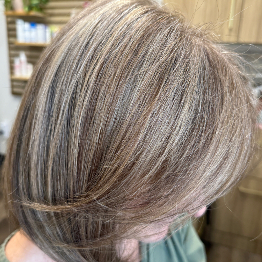 Gray Blending Experience at Gaviota's Hair Studio in San Antonio, TX