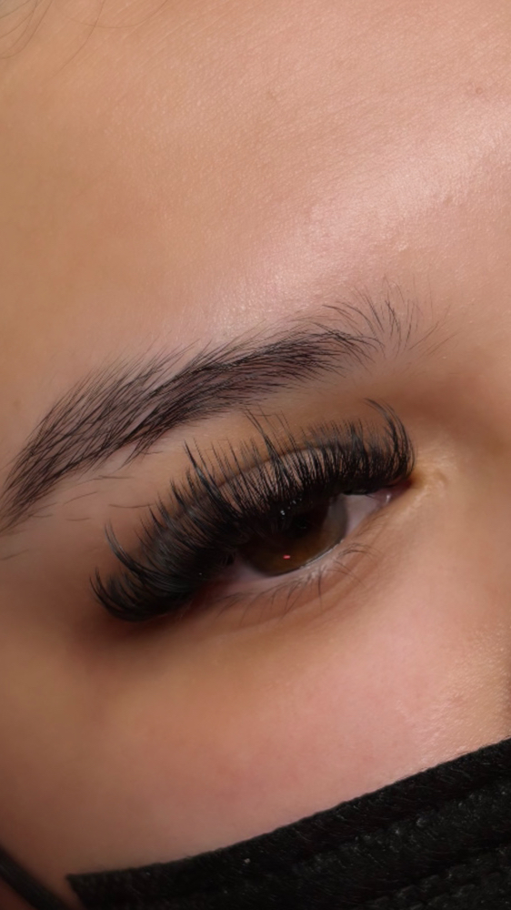 Wispy lash