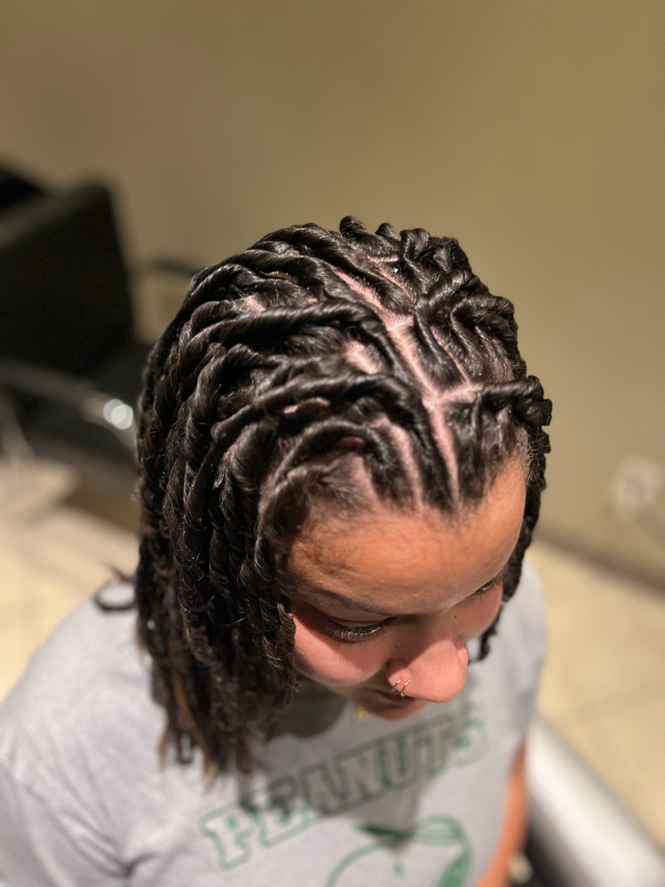 Large Starter Locs