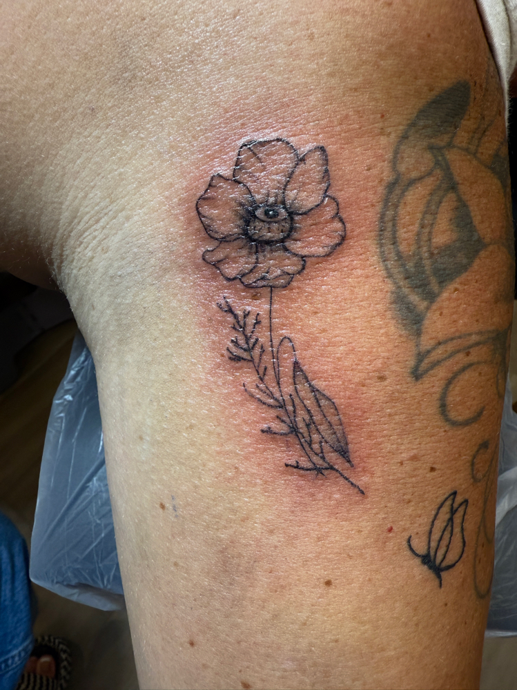 Medium Fine Line at NoBrainer Ink in Grand Junction, CO