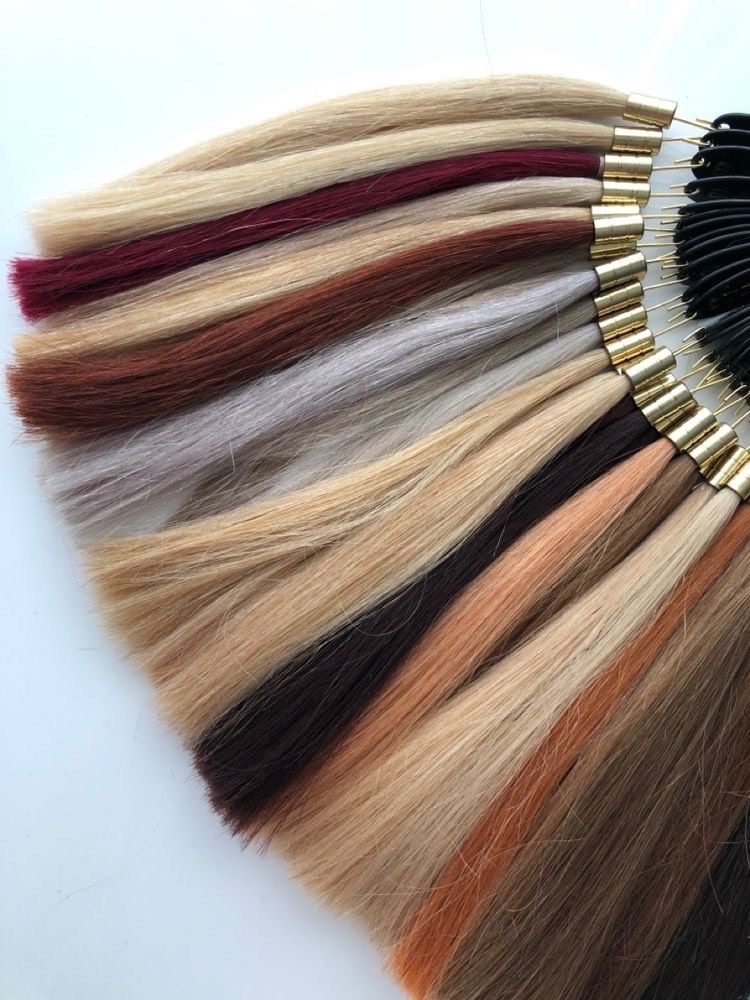 Extensions Consult