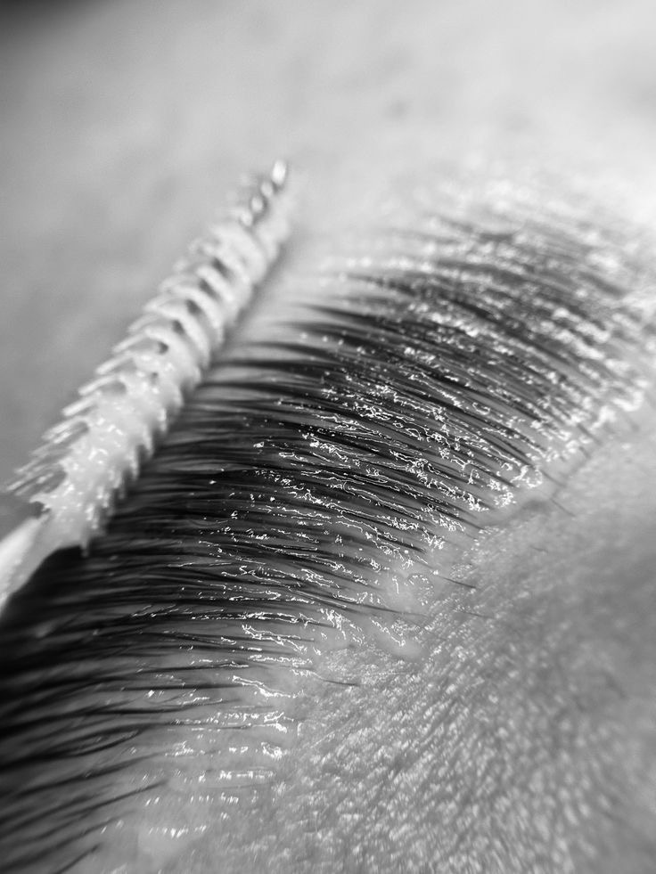 Brow Lamination
