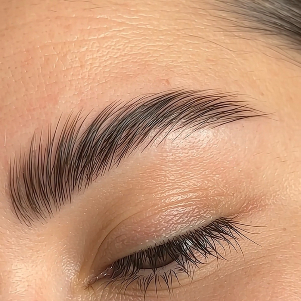 Eyebrow Shape/Waxing & Tint at Palm Beach Wax Studio & Skincare in Palm Beach Gardens, FL