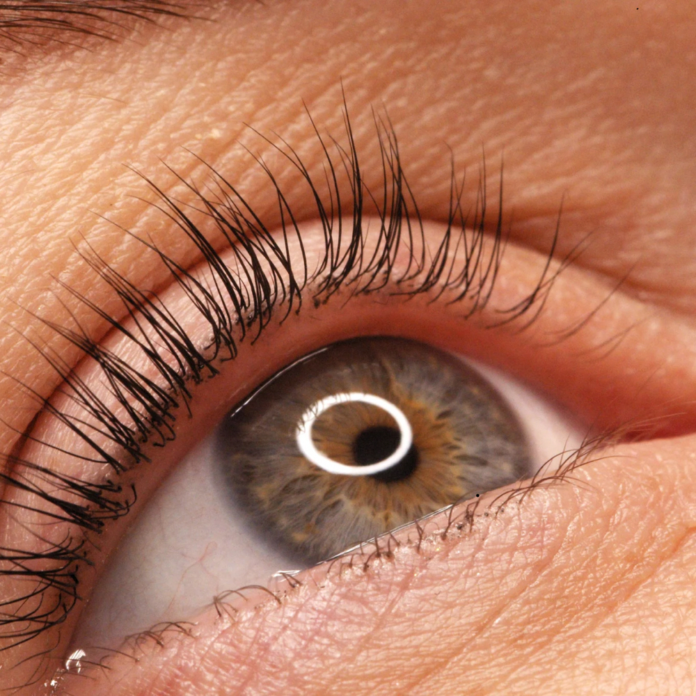 Keratin Lash Lift and Tint at Rewind Med Spa in Longmont, CO