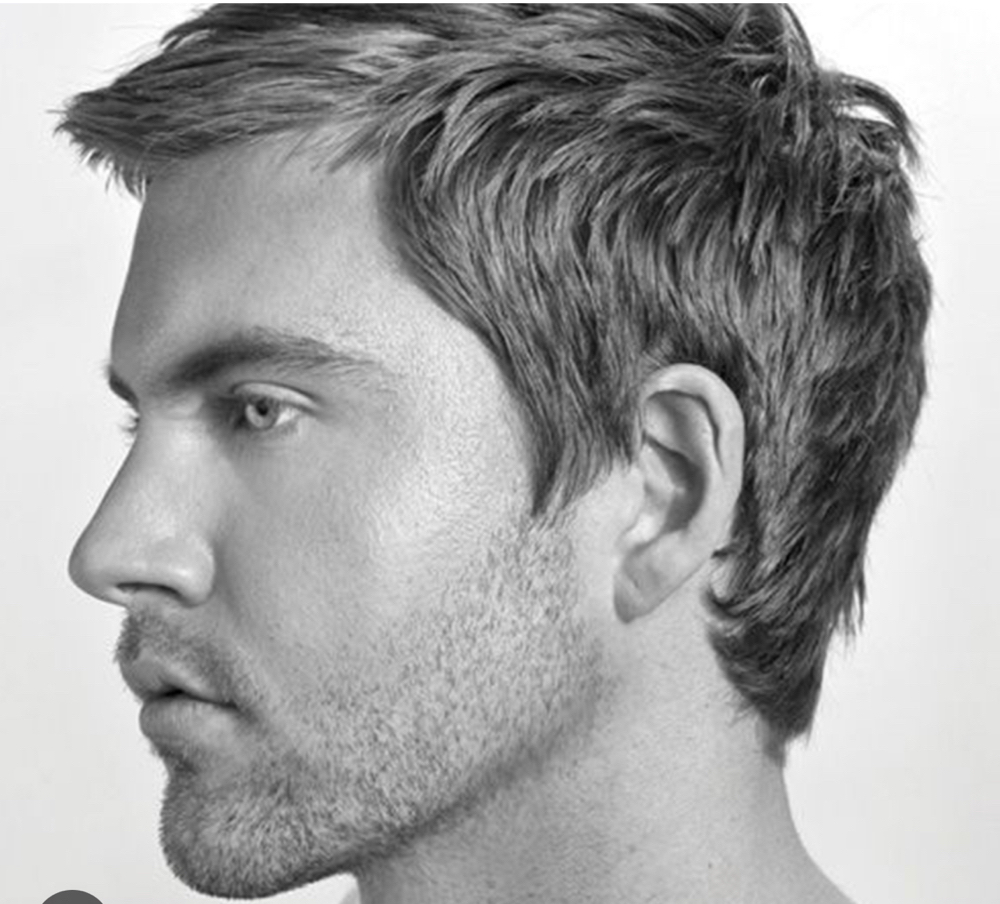 Men's Haircut ($50-75+)