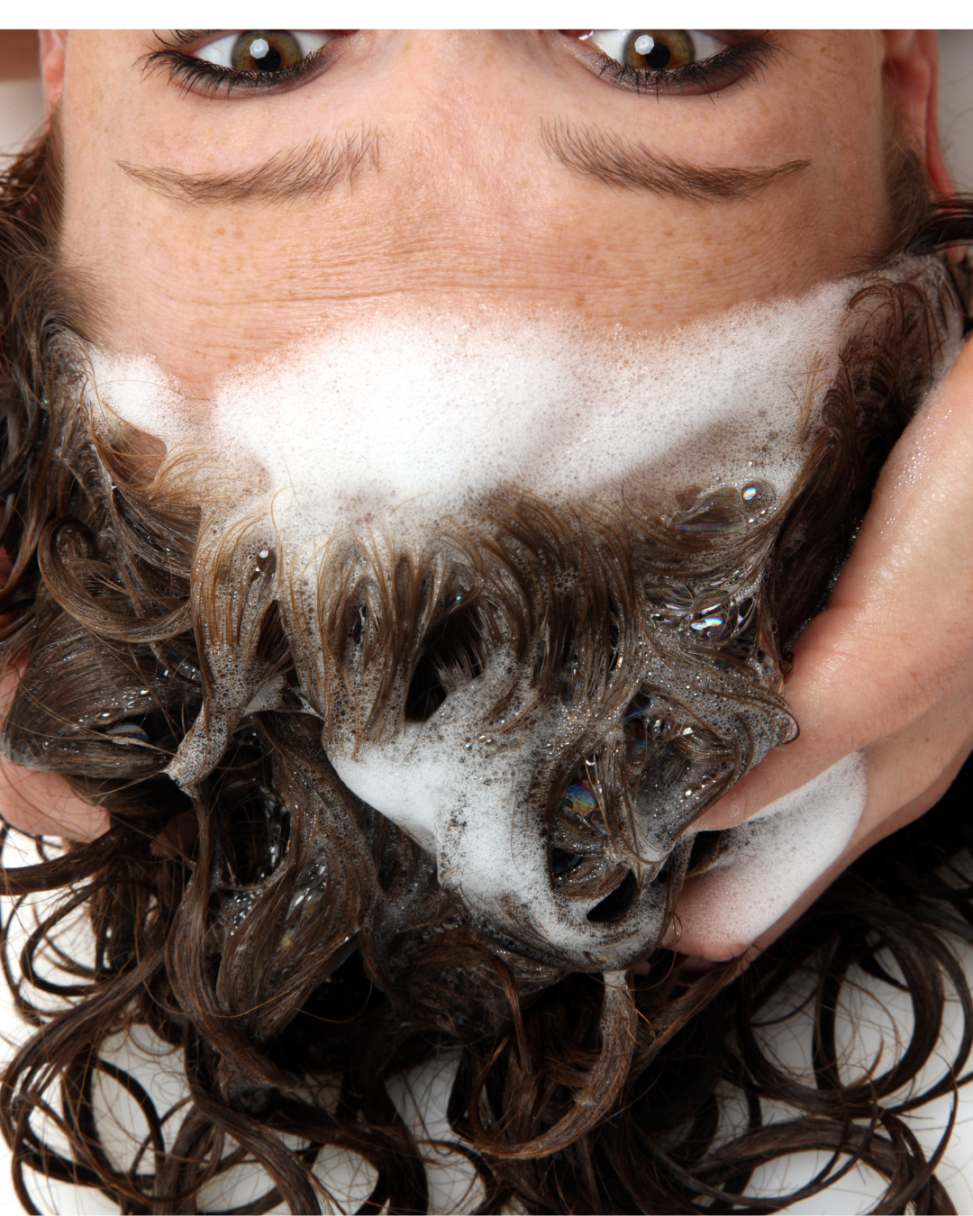 Head Spa 90min at Lace Tribe Head Spa in Whitehouse, TX