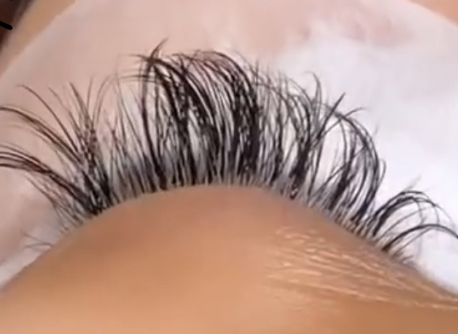 The “Wet” Lash Filly