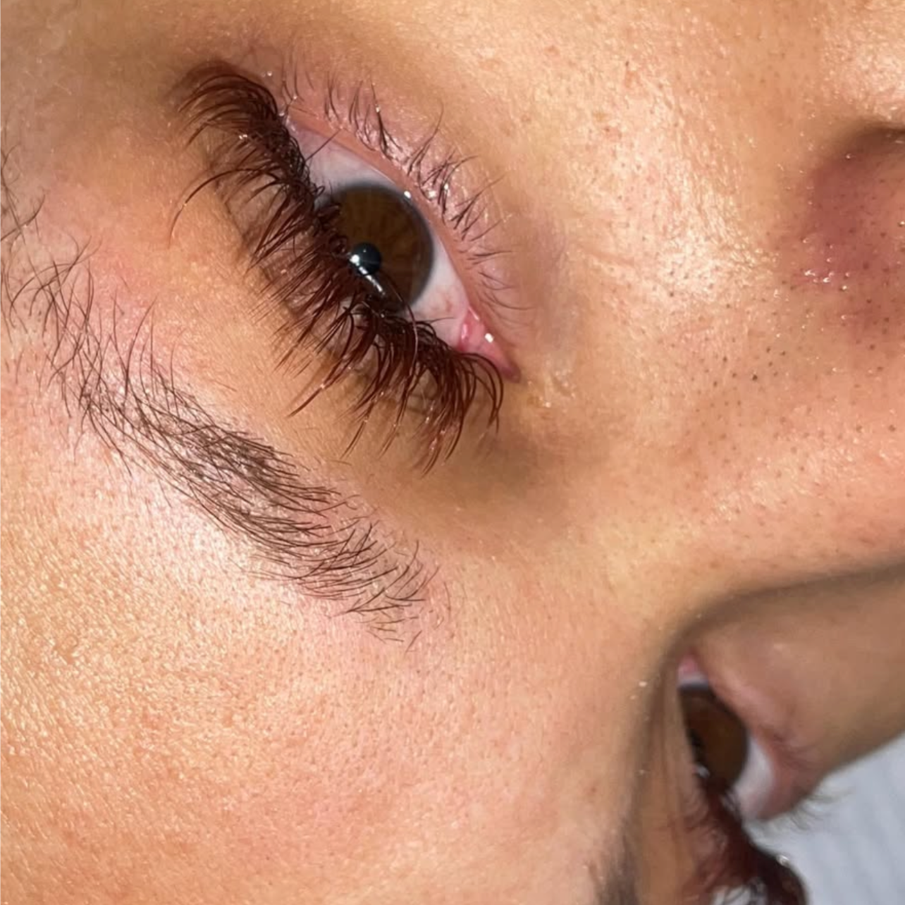 Wet Full Set at Lotus Lashes & Brows in Cleveland Heights, OH