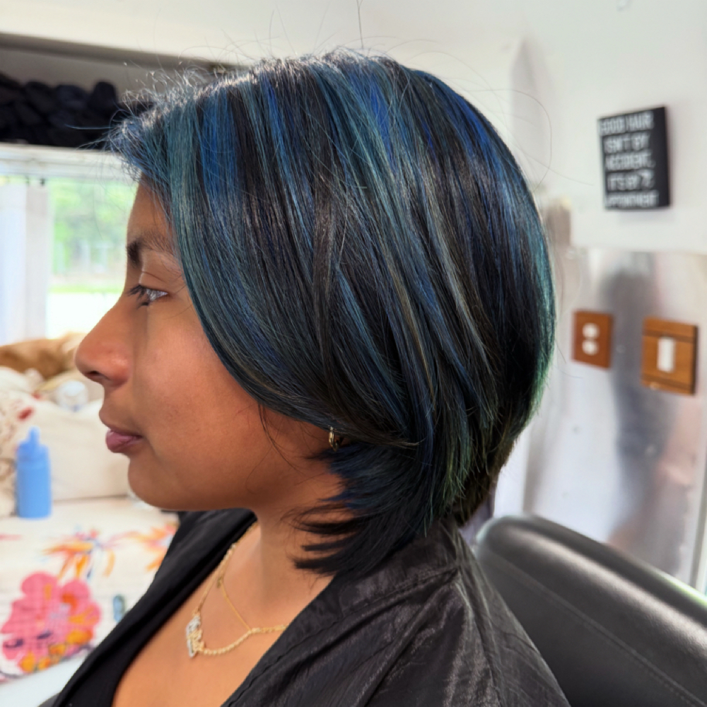 Partial Hilite at Little Wild Beauty in Fort Lauderdale, FL