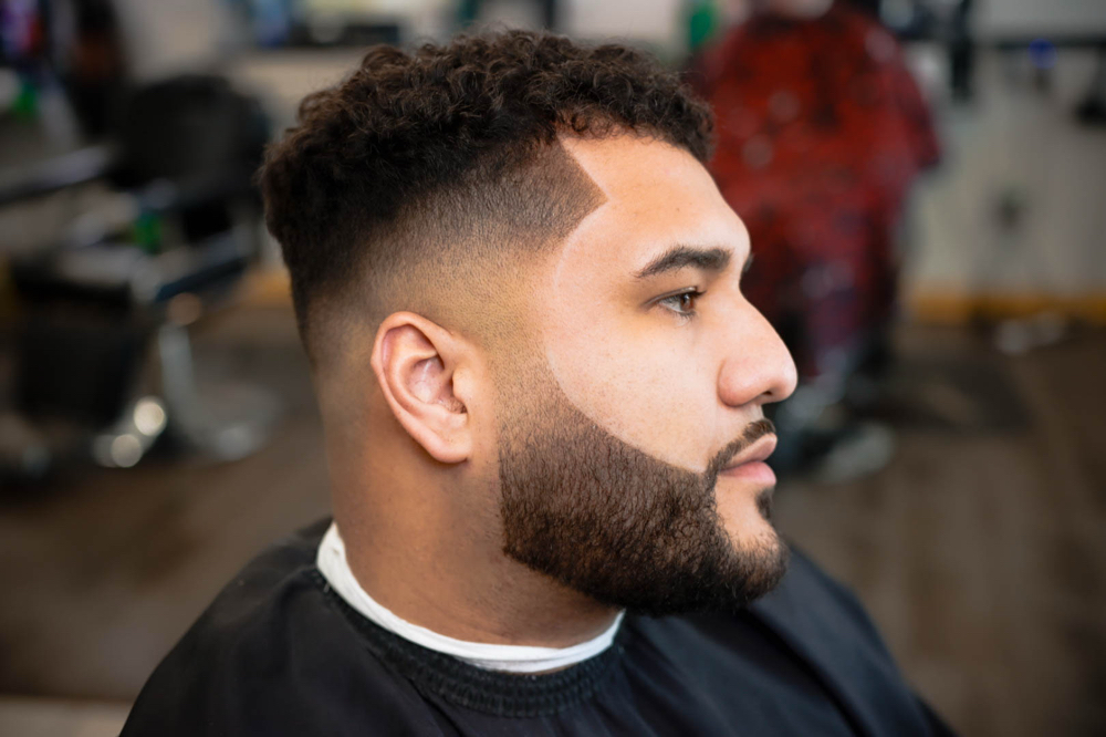 Fade W/ Beard