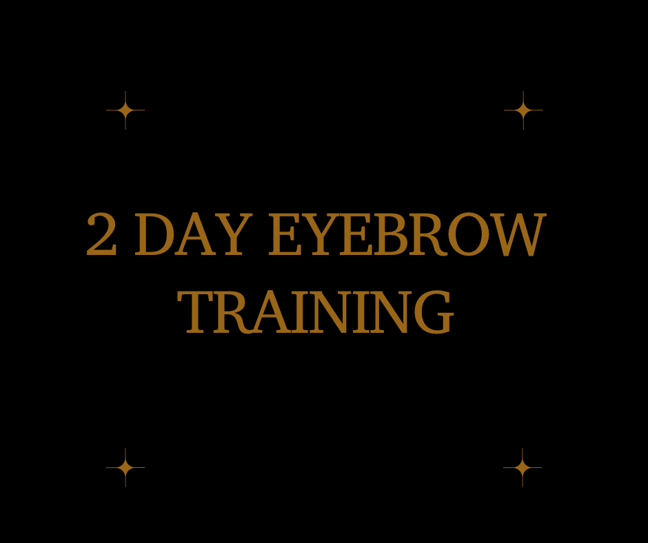 2 Day Eyebrow Training