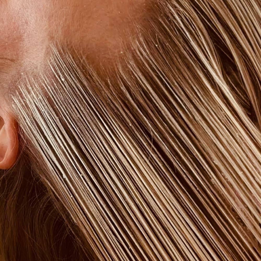 Partial Highlight at Bella Hair & Makeup in Dallas, TX