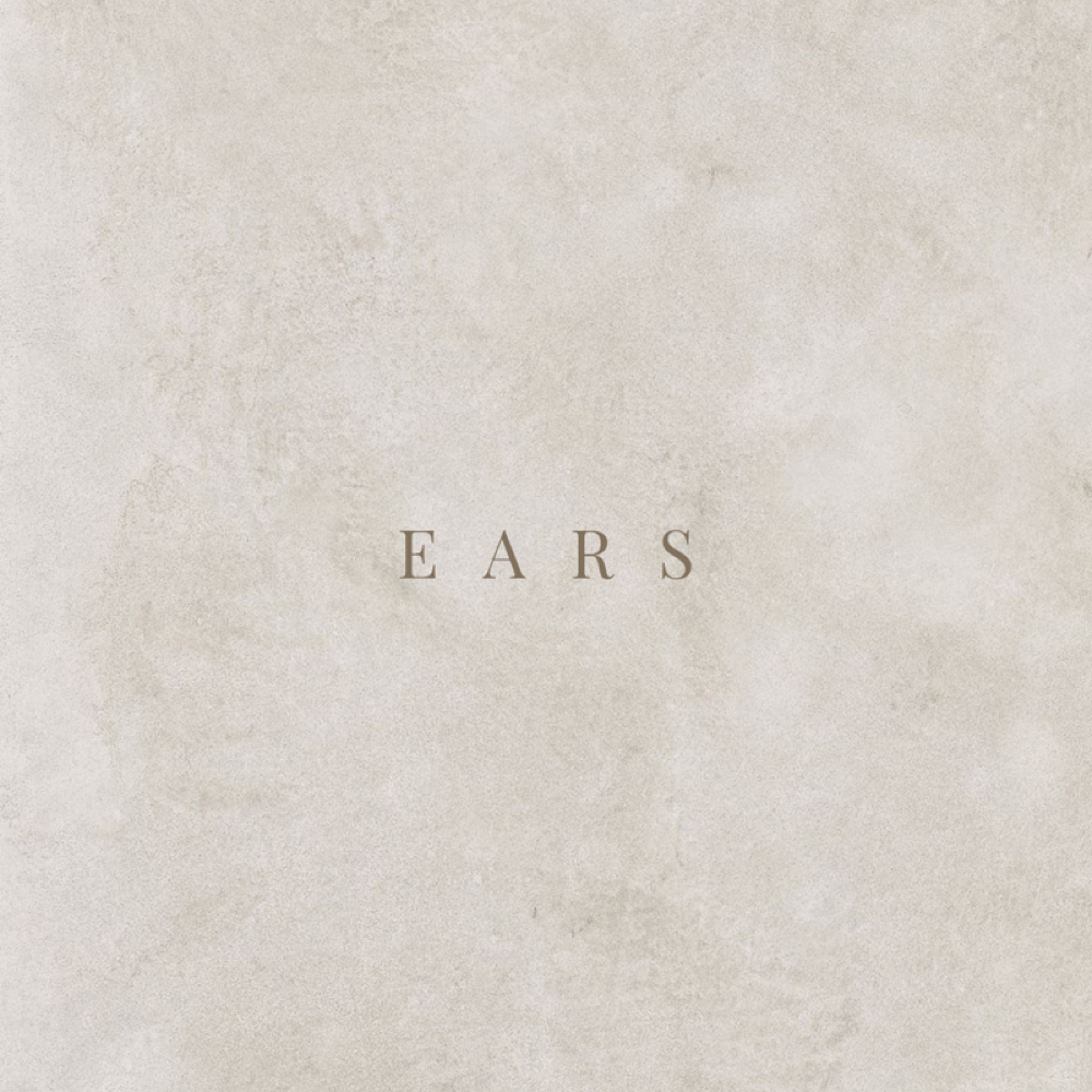 Ears at WAXED by Lauren in Beverly, MA