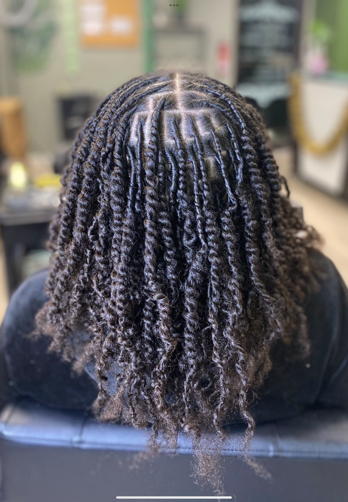 Two strand twists (STARTER LOCS)