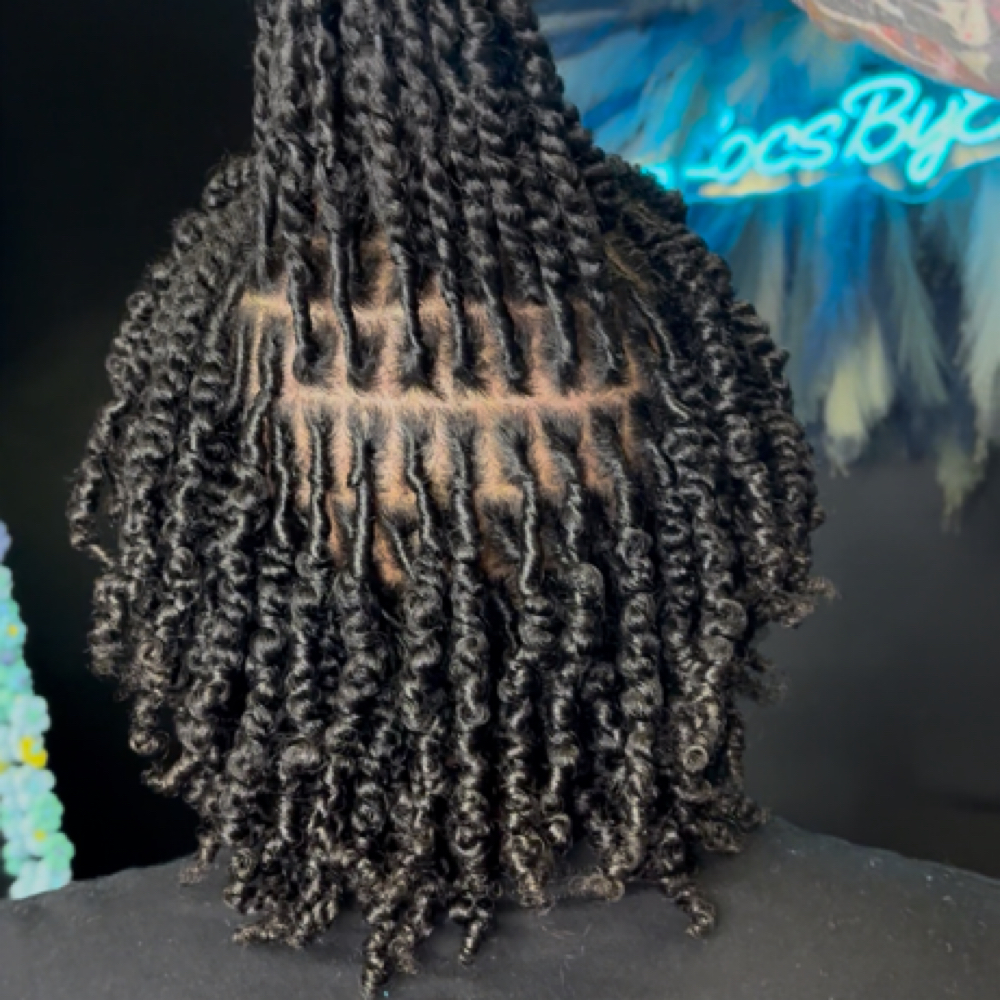 Two strand twist STARTER LOCS at LocsByEssie in Pittsburgh, PA