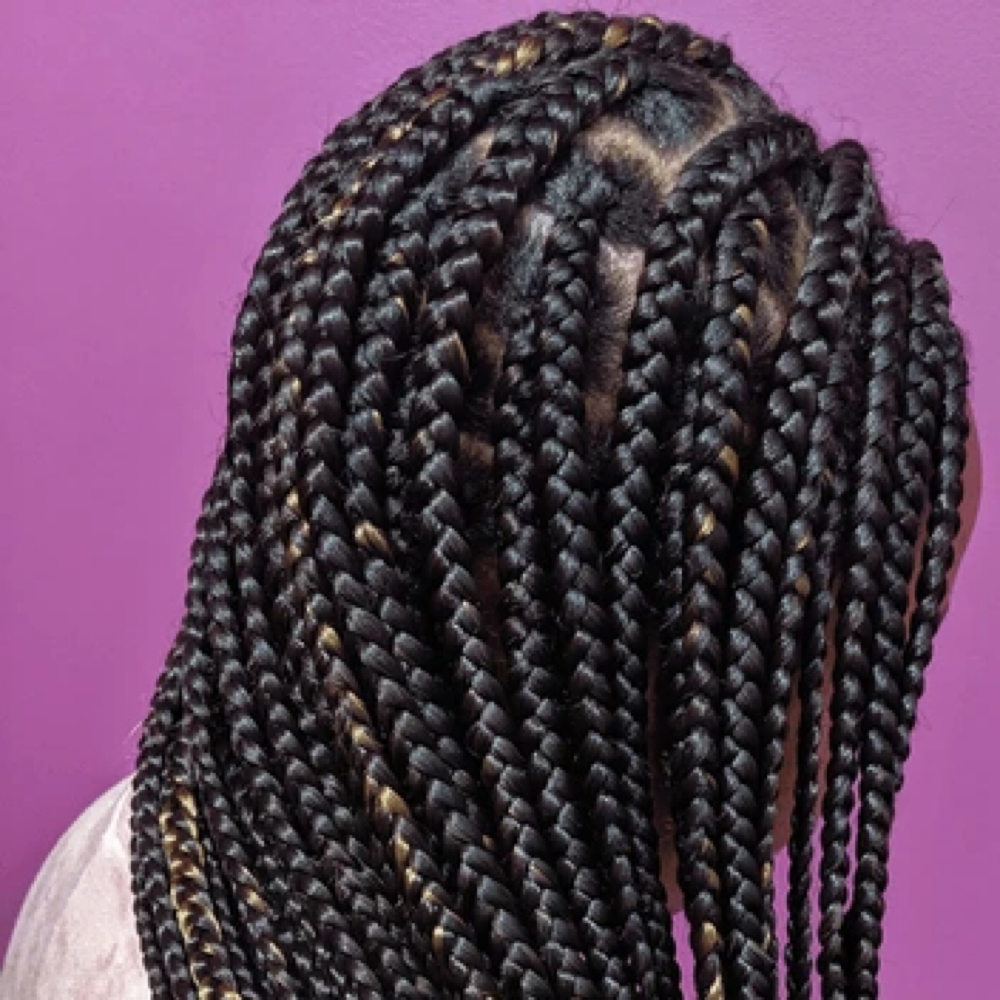 Individual Braids at Echelon Beauty and Glam Bar in Dallas, TX