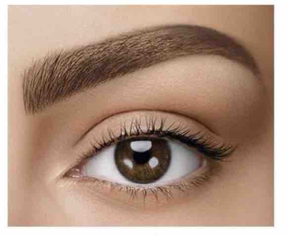 Brow Wax + Shape