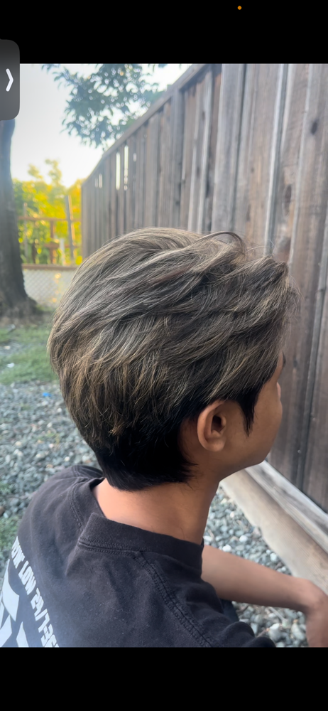 Highlight (SHORT HAIR)