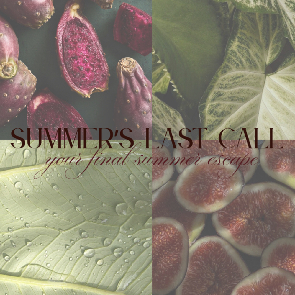 Summer’s Last Call 🥥💧 at SKNFORM in Phoenix, AZ