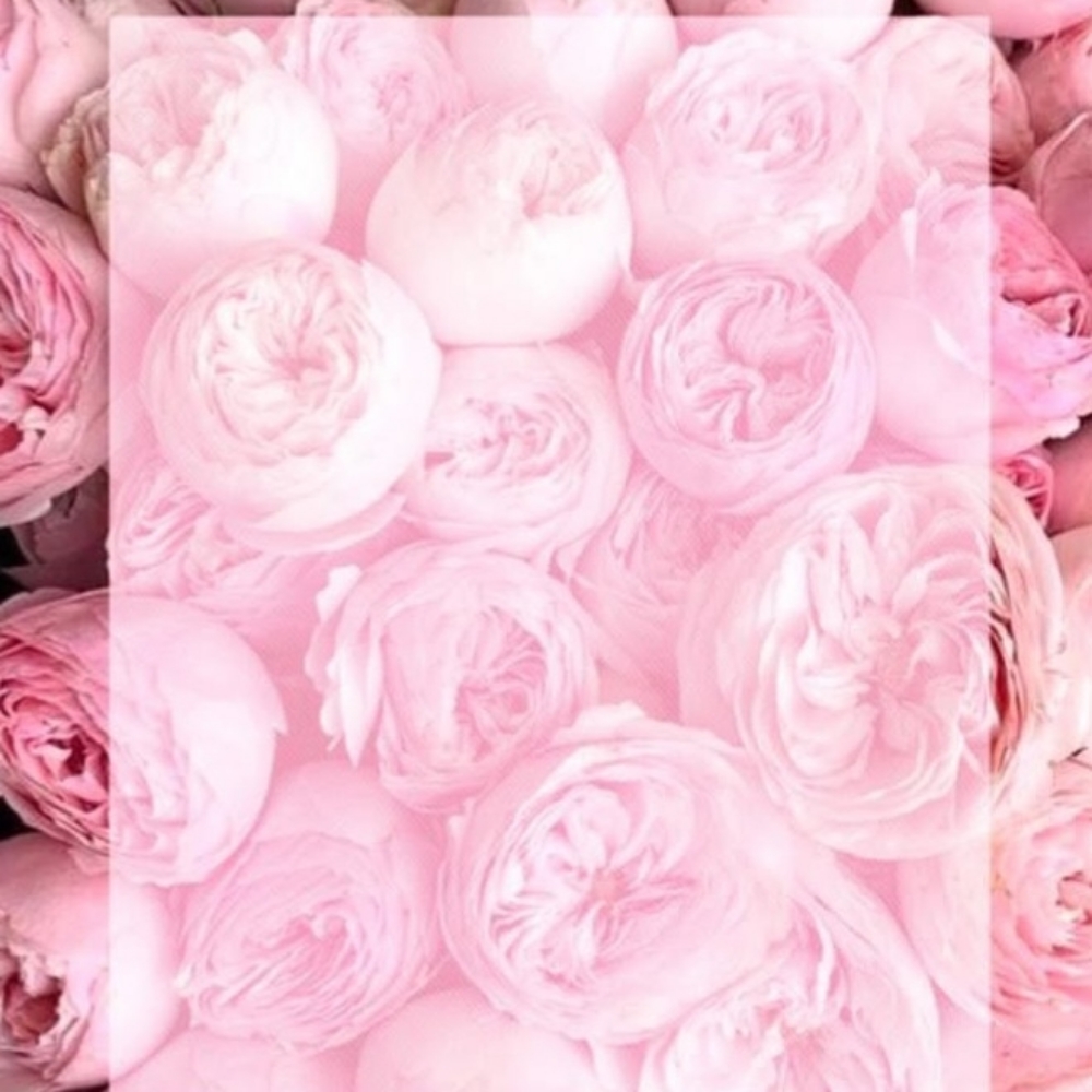 Mother's Day Highlight Special at Amanda kelly in Beavercreek, OH