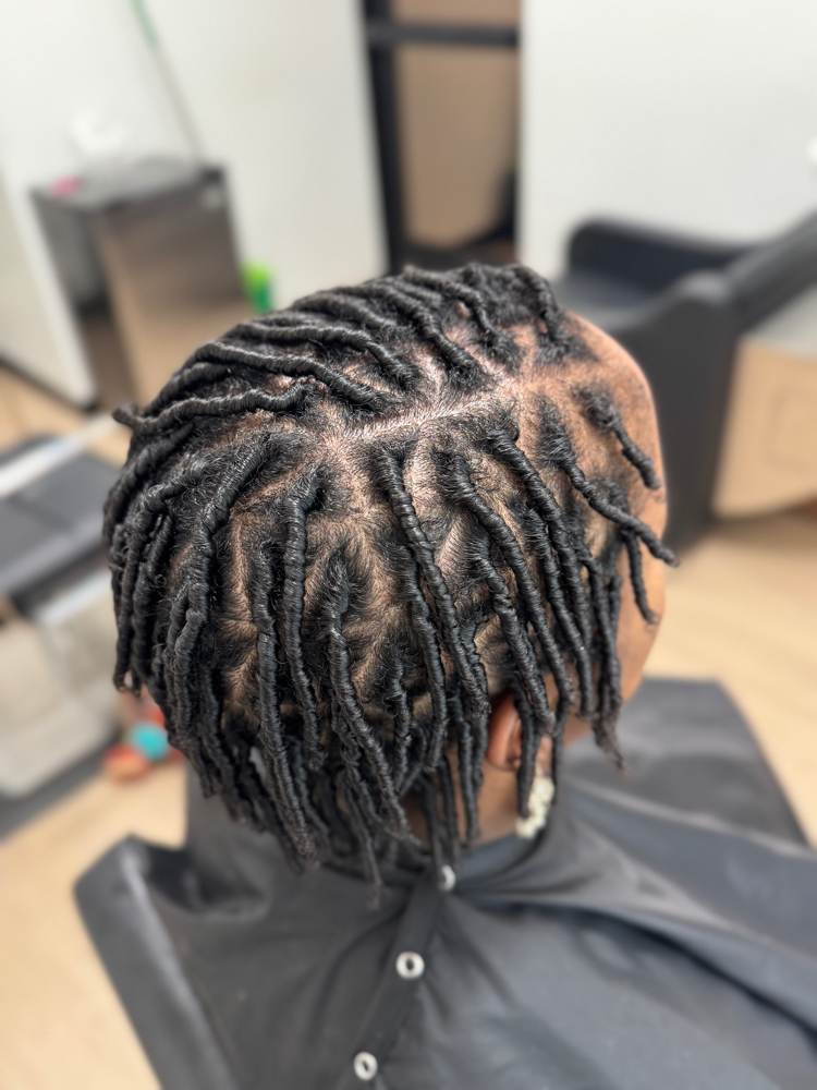 Starter Locs