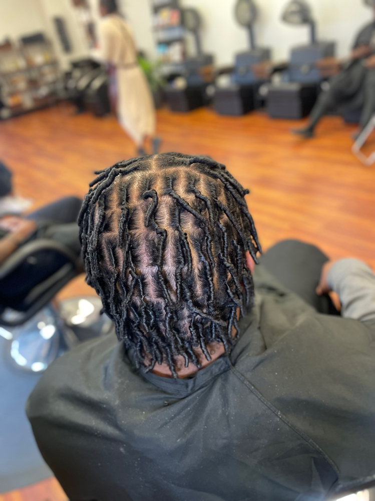 Starter Locs