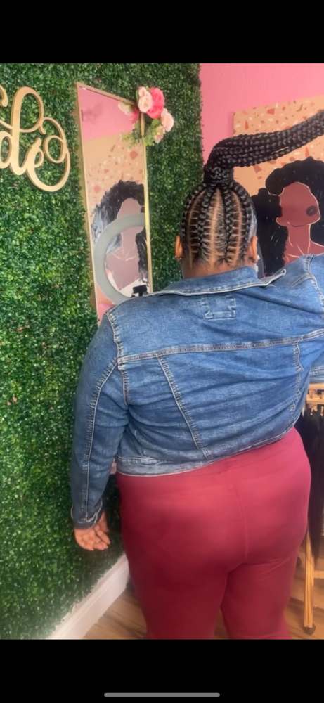 10 Stitch Braids Ponytail