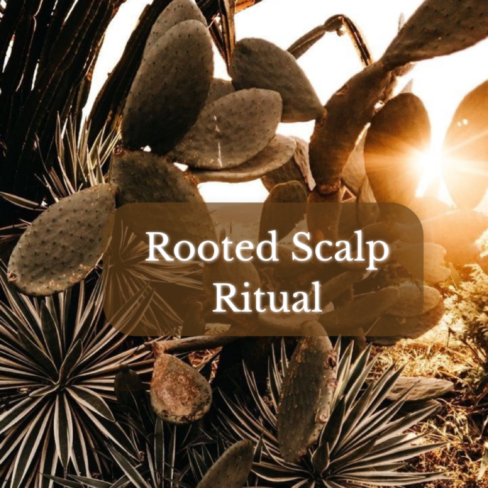 Rooted Scalp Ritual at Magnolia on Main in Keene, NH