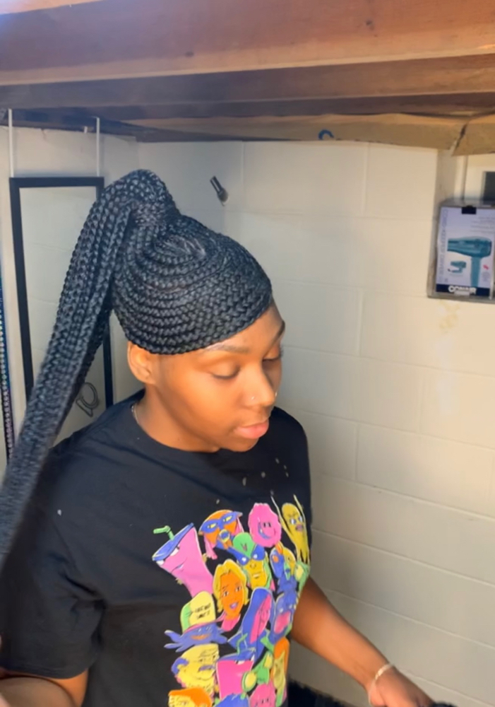 Braided Ponytail Swoop Small