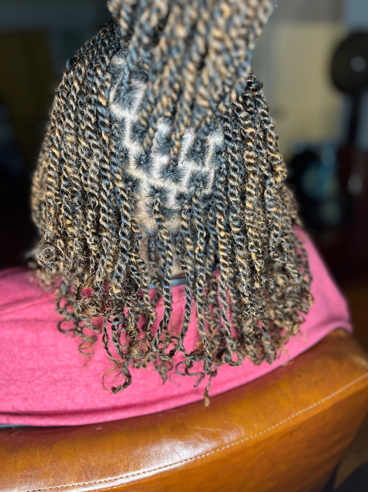 Medium Kinky Twist