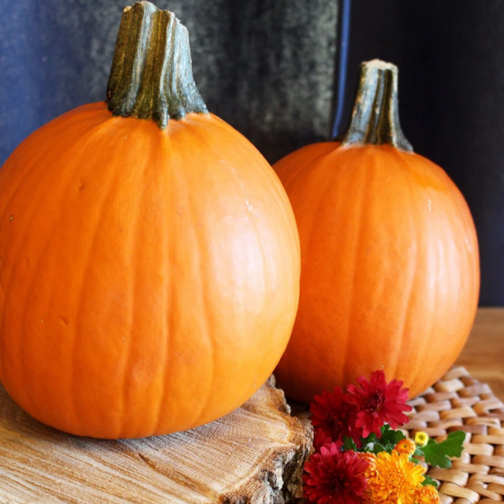 Spooktacular Service Bundles at Sage & Skin in Salinas, CA