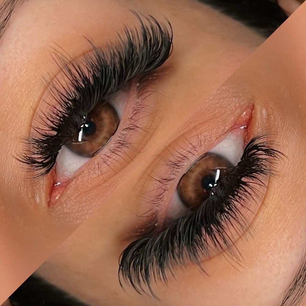Volume Lashes