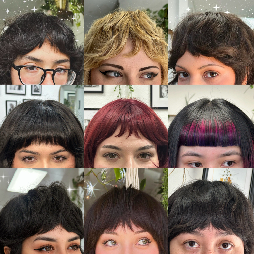 bang trim