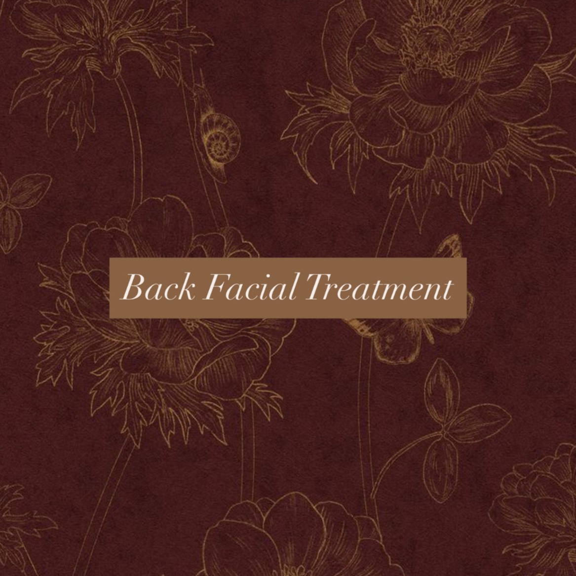 Back Facial Treatment at Pearl Skin Esthetics in Crittenden, KY