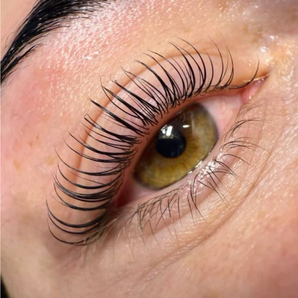 KOREAN LASH LIFT + TINT at BLESSED BEAUTY & CO. in Marysville, WA
