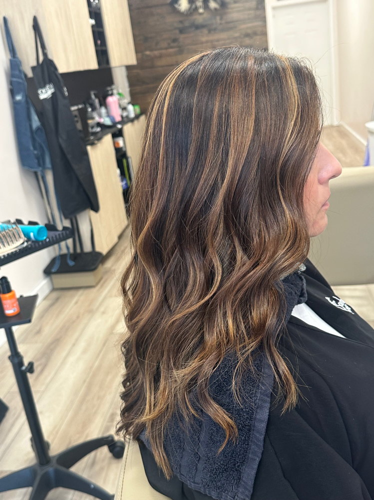 Partial Highlight W/ Blowdry & Styl
